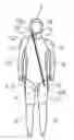 Fig. 01 - Suit for aquatic activity