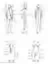 Fig. 02 - Suit for aquatic activity