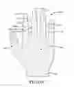 Fig. 07 - Glove with contrasting cuff and tear indicator