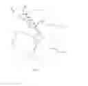 Fig. 02 - DECORATIVE ARTICLE OF APPAREL