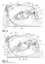 Fig. 05 - Vacuum cleaner