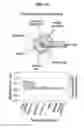 Fig. 07 - METHOD AND APPARATUS FOR PREDICTING POSTTRAUMATIC BEHAVIOR PROBLEM