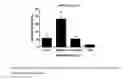 Fig. 06 - COMPOSITIONS AND METHODS FOR TARGETED CONTRAST AGENTS FOR MOLECULAR IMAGING