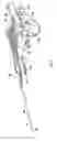 Fig. 09 - Transport System for Biopsy Device