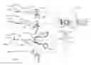 Fig. 01 - CONTROL SYSTEM ARRANGEMENTS FOR A MODULAR SURGICAL INSTRUMENT