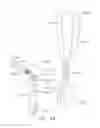 Fig. 30 - Surgical clip applier comprising adaptive control in response to a strain gauge circuit