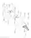 Fig. 44 - Clip applier comprising a clip crimping system