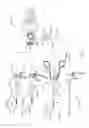 Fig. 02 - Surgical instrument systems comprising handle arrangements