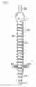 Fig. 01 - SYSTEMS AND METHODS FOR A PEDICLE SCREW ASSEMBLY