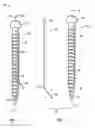 Fig. 02 - SYSTEMS AND METHODS FOR A PEDICLE SCREW ASSEMBLY