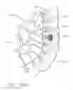 Fig. 197 - Method of hub communication with surgical instrument systems
