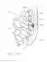 Fig. 197 - Method of hub communication with surgical instrument systems