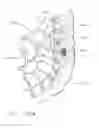 Fig. 197 - Method for communicating with surgical instrument systems