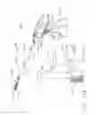 Fig. 137 - Method of hub communication with surgical instrument systems