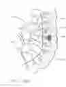 Fig. 197 - Method of hub communication with surgical instrument systems