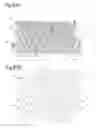 Fig. 09 - Container