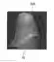 Fig. 01 - Method of estimating and restoring abutment tooth form changed by scanning and program thereof