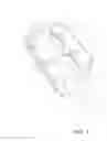 Fig. 02 - Cheek and tongue retractor