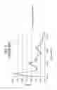 Fig. 08 - Pessary with applicator