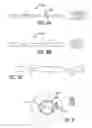 Fig. 06 - DEVICES, SYSTEMS AND METHODS FOR TREATING BENIGN PROSTATIC HYPERPLASIA AND OTHER CONDITIONS