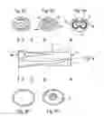 Fig. 07 - Device for the transplantation of a Descemet's membrane