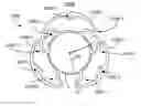 Fig. 01 - Intraocular lens having closed-loop haptic structures