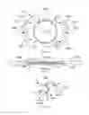 Fig. 02 - Intraocular lens having closed-loop haptic structures