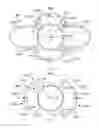 Fig. 04 - Intraocular lens having closed-loop haptic structures