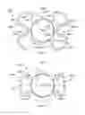 Fig. 05 - Intraocular lens having closed-loop haptic structures