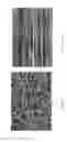 Fig. 09 - SYNTHETIC PROSTHETIC VALVE LEAFLET