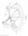 Fig. 10 - Jacket for surgical heart valve