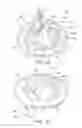 Fig. 02 - Prosthetic heart valve