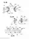 Fig. 16 - Two component mitral valve