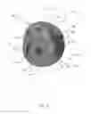 Fig. 04 - Glenosphere with hood for augmented fixation and related methods