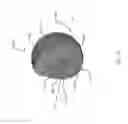 Fig. 20 - Glenosphere with hood for augmented fixation and related methods