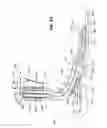 Fig. 24 - PROSTHETIC FOOT WITH SPACED SPRING ELEMENTS