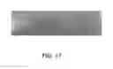 Fig. 19 - BIDIRECTIONAL STENT AND METHOD OF USE THEREOF