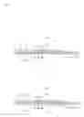 Fig. 06 - Absorbent article with strong and weak bonded portions
