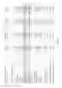 Fig. 23 - METHOD OF REDUCTION IN CONVULSIVE SEIZURE FREQUENCY