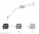 Fig. 01 - Hapten-enhanced chemoimmunotherapy by ultra-minimum incision personalized intratumoral chemoimmunotherapy