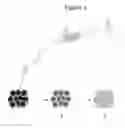 Fig. 02 - Hapten-enhanced chemoimmunotherapy by ultra-minimum incision personalized intratumoral chemoimmunotherapy