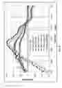 Fig. 09 - Preventive and curative peroxometallate based composition, notably pharmaceutical composition