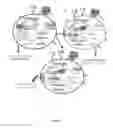 Fig. 02 - PROCESSES FOR GENERATING SUPERIOR ANTI-TUMOR T-CELL EFFECTOR AND MEMORY CELLS
