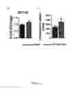 Fig. 07 - PROCESSES FOR GENERATING SUPERIOR ANTI-TUMOR T-CELL EFFECTOR AND MEMORY CELLS