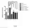 Fig. 07 - COMPOSITIONS AND METHODS COMPRISING BACTERIA FOR IMPROVING BEHAVIOR IN NEURODEVELOPMENTAL DISORDERS