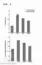 Fig. 04 - COMPOSITION FOR IMPROVING OR PREVENTING NONALCOHOLIC FATTY LIVER