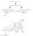 Fig. 02 - Powder formulation