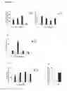 Fig. 04 - Pharmaceutical composition for ameliorating the symptoms and disease of the respiratory infection caused by human metapneumovirus (HMPV), which comprises at least one agent that neutralizes the function of TSLP and/or TSLPR and/or OX40L and/or CD177 molecules, and a pharmaceutically acceptable excipient, and use thereof
