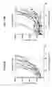 Fig. 22 - Polynucleotides encoding interleukin-12 (IL12) and uses thereof