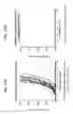 Fig. 40 - Polynucleotides encoding interleukin-12 (IL12) and uses thereof